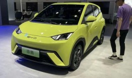 比亚迪海鸥爆料视频,轻巧灵动，续航升级，引领城市出行新风尚