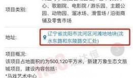爆料最新项目有哪些,科技前沿动态盘点